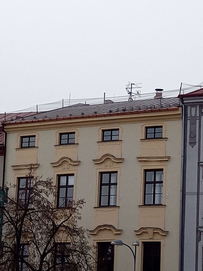 Ochrana proti ptactvu na fasádě klasicistní budovy